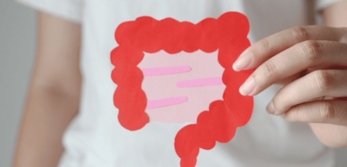 microbiote intestinal ventre femme naturopathie