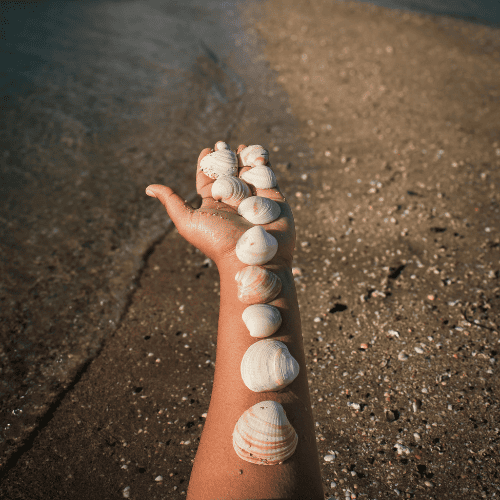 femme tenant des coquillage sur son avant bras